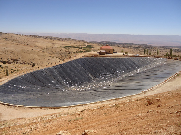 ����Ĥʩ���F(xi��n)��