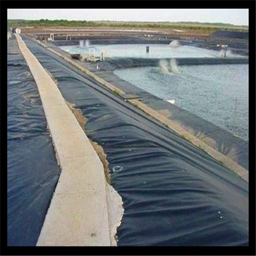 ��ʲô�f�B(y��ng)�~�ر���M�з��B̎����