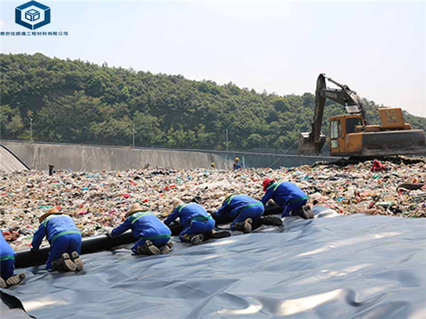 ���B����Ĥ���ڏV�|������(ch��ng)�(xi��ng)Ŀ