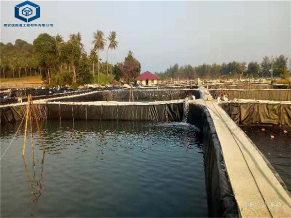 ��·ͨ��ˮ���BĤ����ʯ���~(y��)�B(y��ng)ֳ����