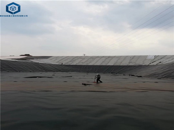 �����ط��BĤ���ں����B(y��ng)ֳ��(ch��ng)