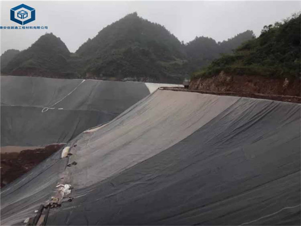 �����V���BĤ��(y��ng)���ڻ����V����