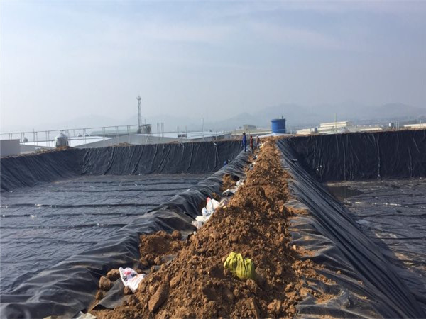 ����������Ĥ���ڟ��_(t��i)ĳ�B(y��ng)�i��(ch��ng)�UҺ̎���(xi��ng)Ŀ