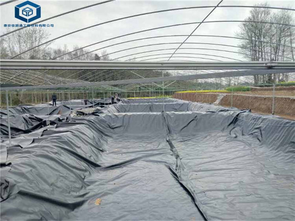 �~(y��)�r�B(y��ng)ֳĤ