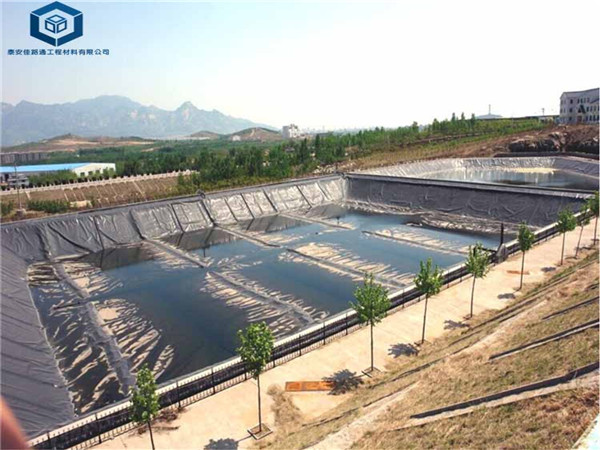 �r���B(y��ng)ֳ����Ĥ