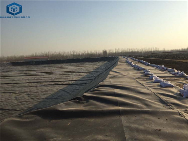 �B(y��ng)ֳ����Ĥ��(y��ng)�õ����B(y��ng)ֳ��(ch��ng)����