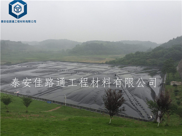 ���������(ch��ng)����Ĥ