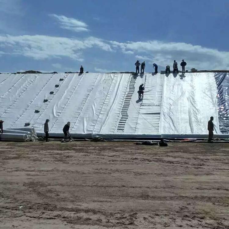 ��(f��)���������BĤ