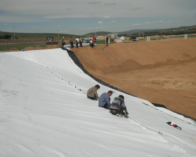 ��(f��)���������BĤ