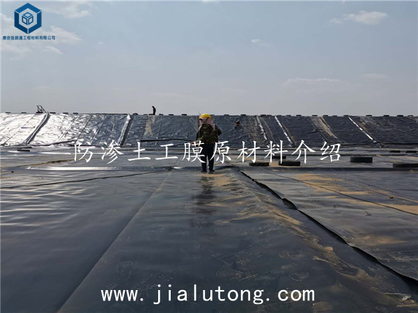 ���B����Ĥ